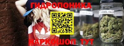крисы Кандалакша