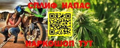 крисы Кандалакша