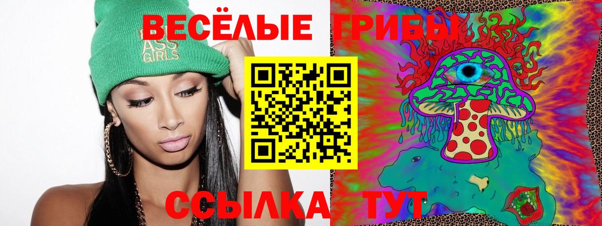 Галлюциногенные грибы Psilocybine cubensis Гулькевичи